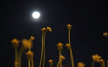 Đâu là của riêng ai